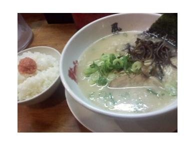 とんこつラーメン博多風龍 高田馬場店